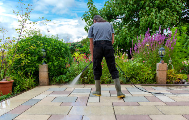 Best Fence Cleaning  in Mims, FL